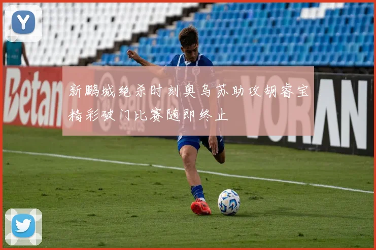 新鹏城绝杀时刻奥乌苏助攻胡睿宝精彩破门比赛随即终止